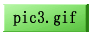 pic3.gif (2081 oCg)